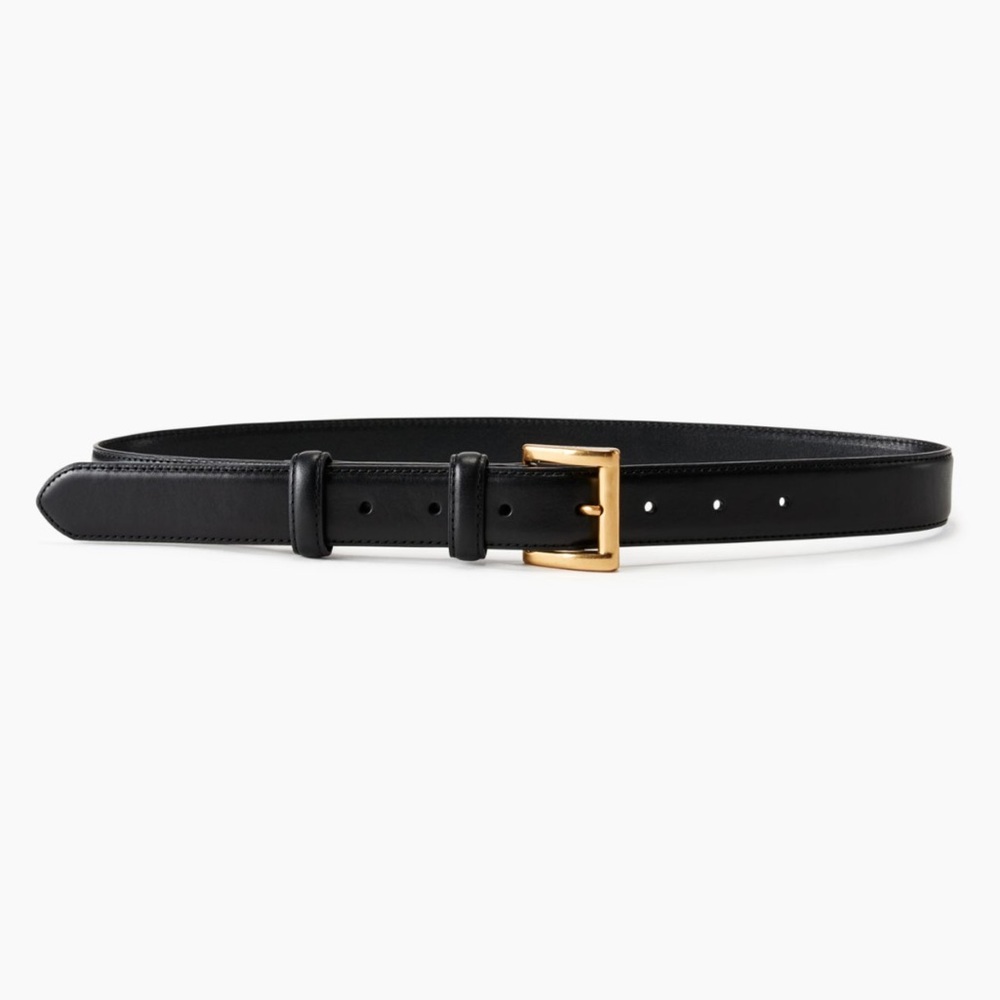 COPY - Aritzia Hackney Leather Belt